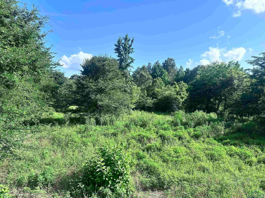 View of lot facing south