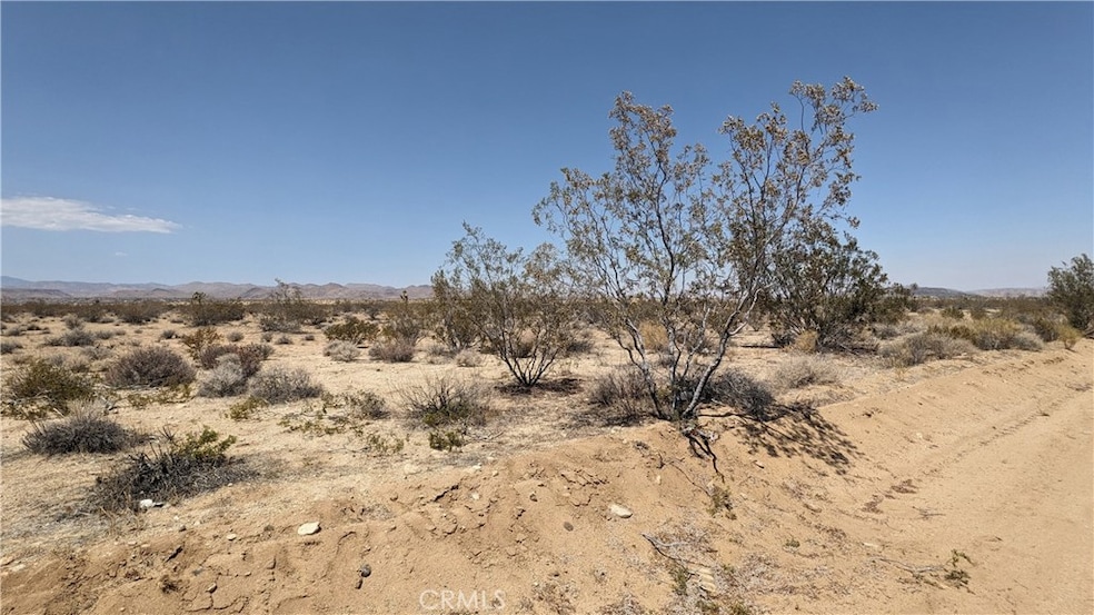 0 Landers Apn 0631-061-64 unit IG25183415, Landers, CA 92285 - photo 1