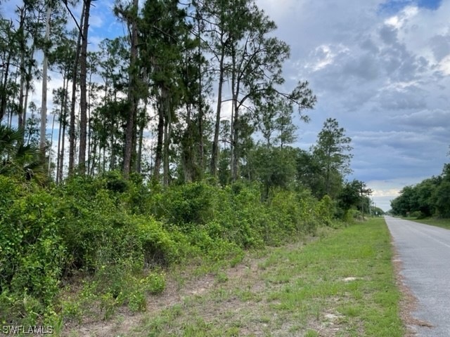 1808 Robert Ave, Lehigh Acres, FL 33972 - photo 1