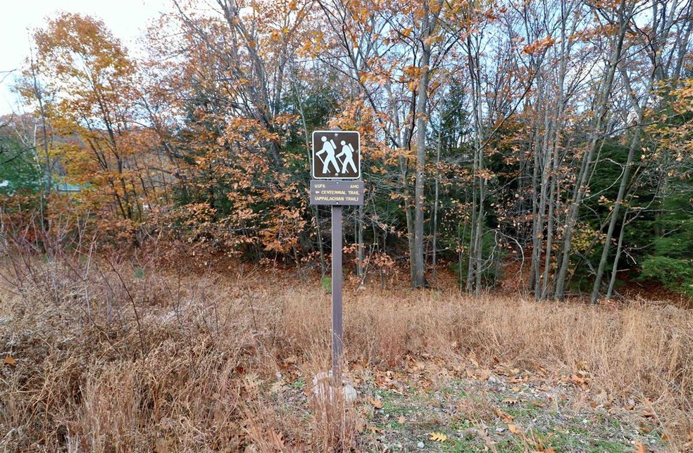 605 U S 2, Shelburne, NH 03581 - photo 1