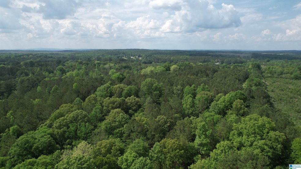 0 Armstrong Mountain Ln unit 21405929, Talladega, AL 35160 - photo 1