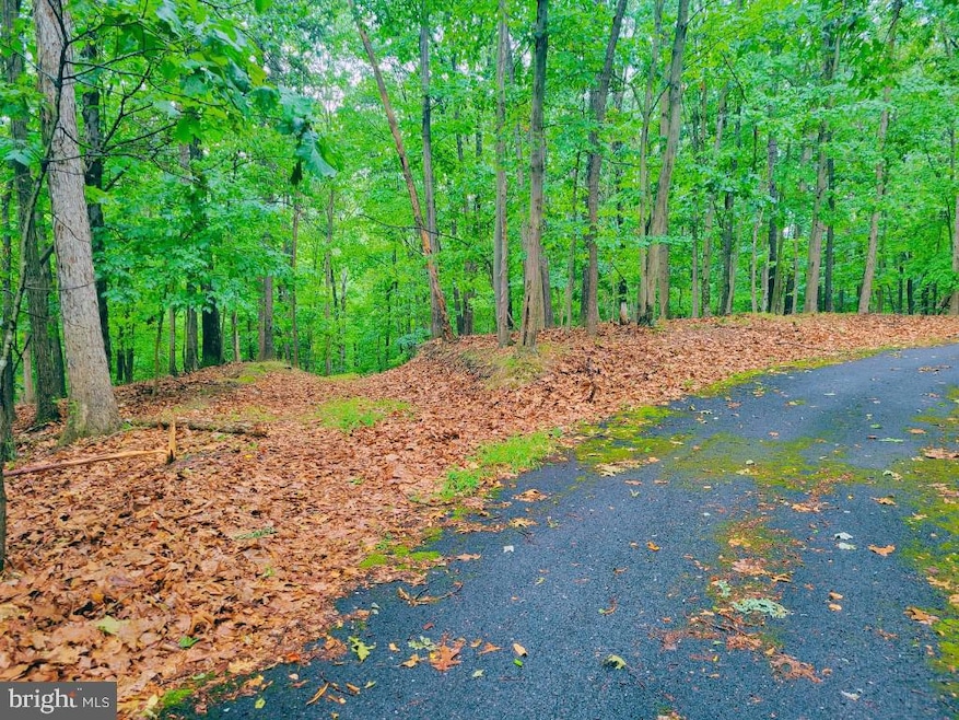 0 Dark Hollow Ct, Gerrardstown, WV 25420 - photo 1