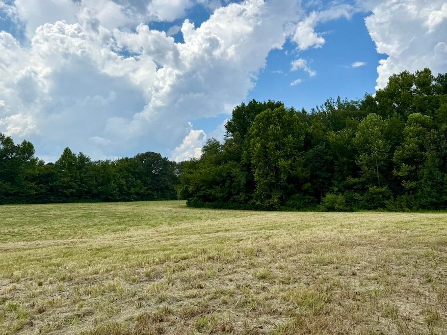 0 Bell Grove Rd unit 10211043, Oakland, TN 38060 - photo 1