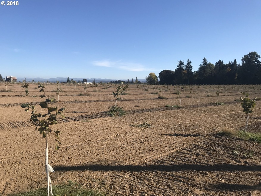 0 S Schneider Rd, Canby, OR 97013 - photo 1