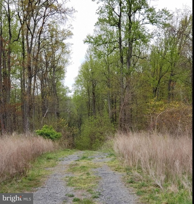 0 Mosby Springs Rd, Happy Creek, VA 22642 - photo 1