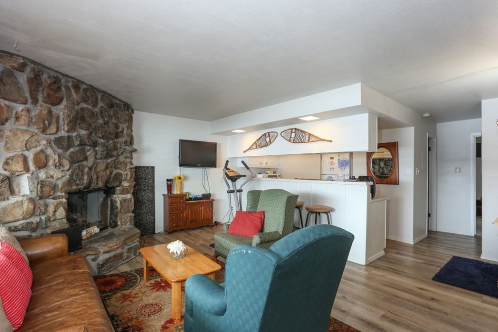 370 E La Bonte St unit 502, Dillon, CO 80435 - photo 1