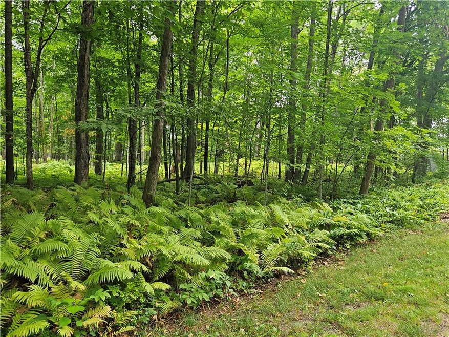 Next to Round Lake, build your home or cabin on 0.76 acres