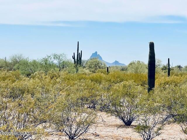 XX E Vista Grande Ln, Marana, AZ 85658 - photo 1