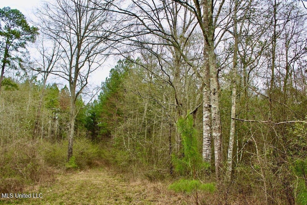 000 Sauls Rd, Ruth, MS 39662 - photo 1