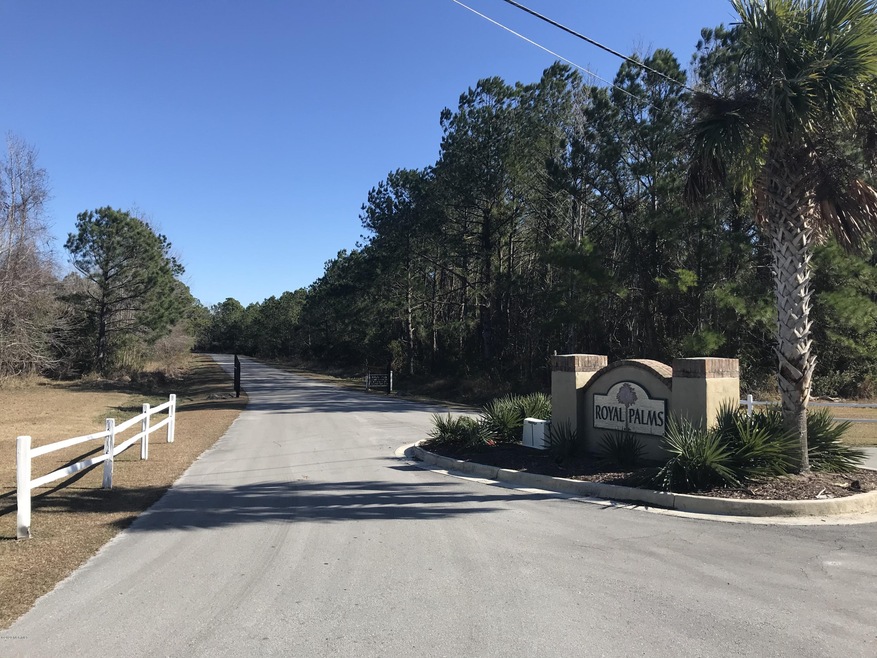 188 Royal Palms Way, Holly Ridge, NC 28445 - photo 1