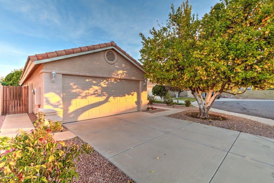 3220 E Poinsettia Dr-1