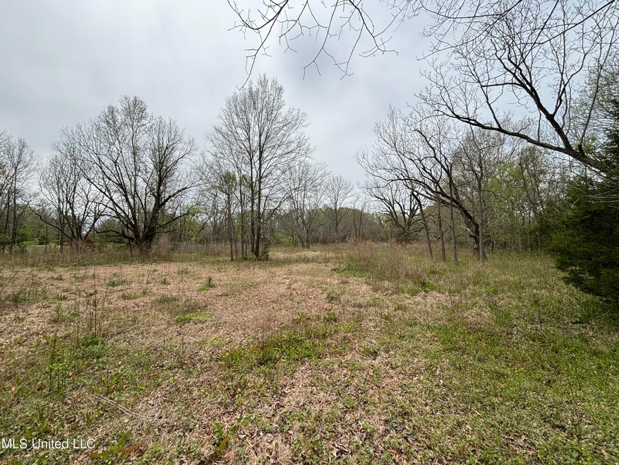5 acres - Wildwood 1