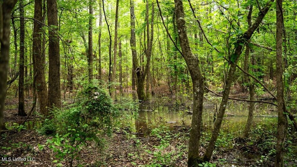 33 acres Morehouse Parish