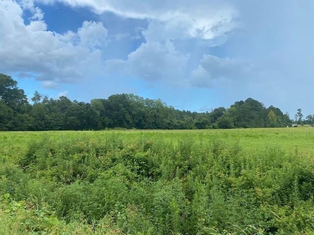 Lot 2A Antioch Rd, Conway, SC 29527 - photo 1