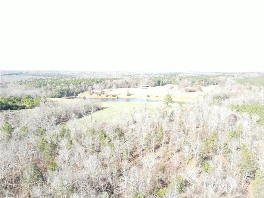 0 Flat Creek Rd, Bennett, NC 27208 - photo 1