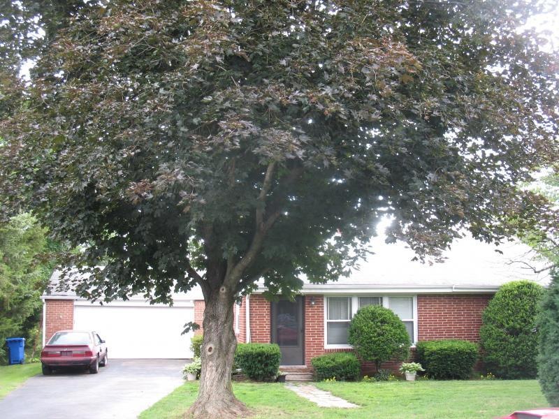 12 Poplar Rd, Ringoes, NJ 08551 - photo 1