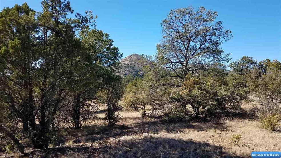 45 Vesuvius Way, Silver City, NM 88061 - photo 1