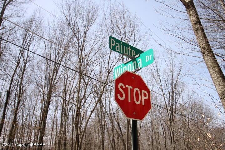 6 Paiute Path, Pocono Lake, PA 18347 - photo 1