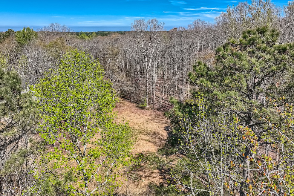 0 Marion Beavers Rd unit 10136886, Sharpsburg, GA 30277 - photo 1