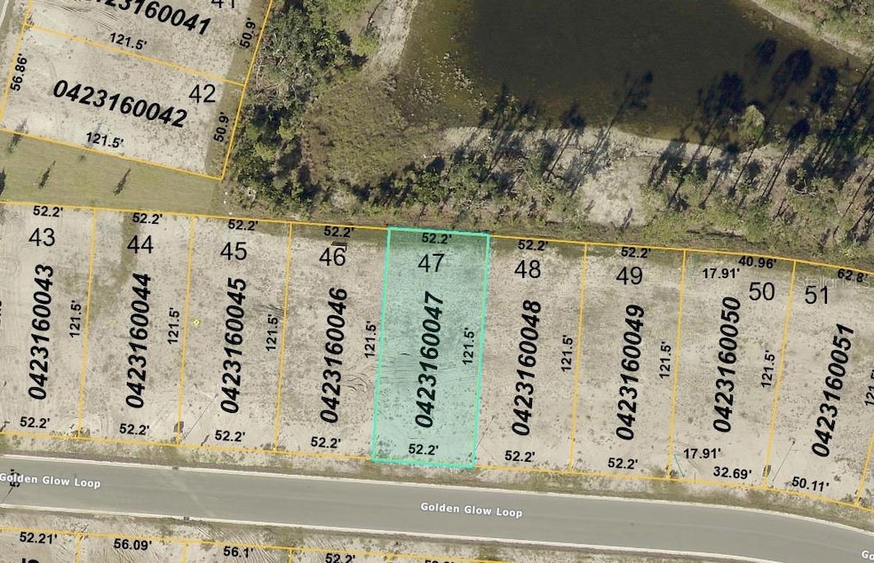 20021 Golden Glow Loop, Venice, FL 34292 - photo 1