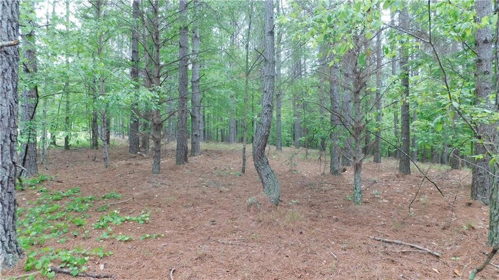 Tract 2 Larmon Forks