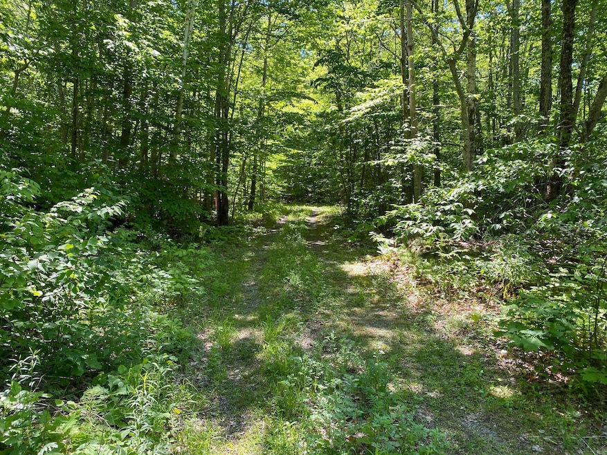 Lot 22&23 Tamarack Trail, Camden, ME 04843 - photo 1