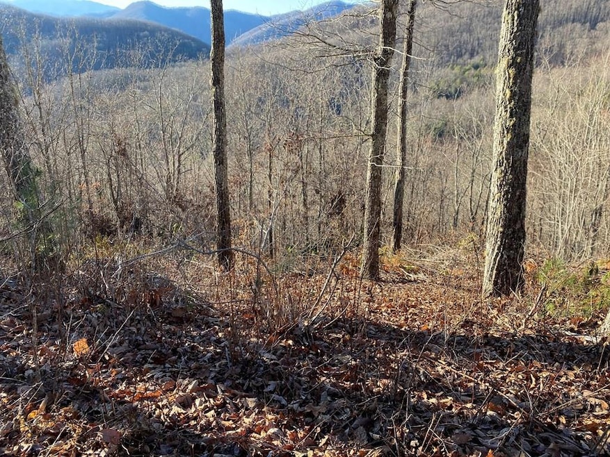Lot 61 Hickory Nut Trail, Sylva, NC 28779 - photo 1