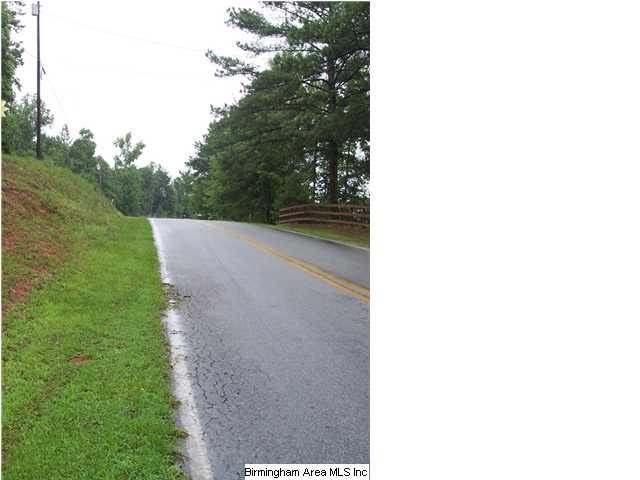 0 Hurst Rd unit 9.81 AC 572171, Bremen, GA 30110 - photo 1