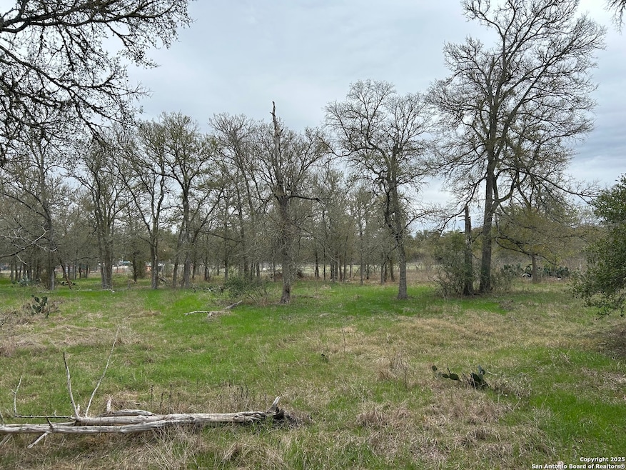 141 N Eskew Ln, Wyldwood, TX 78612 - photo 1