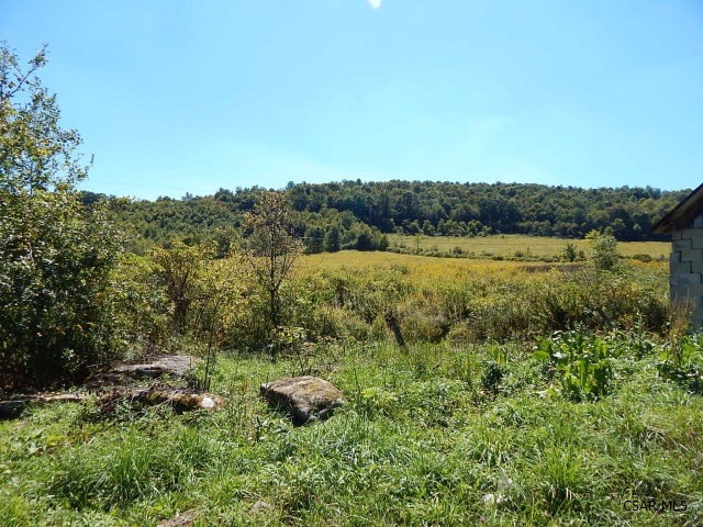 Main View
