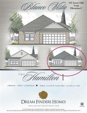 541 Lacey Oak Loop, San Marcos, TX 78666 - photo 1