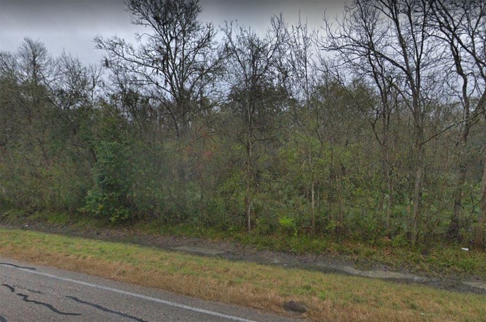 0 County Road 849 Tract 12, Brazoria, TX 77422 - photo 1
