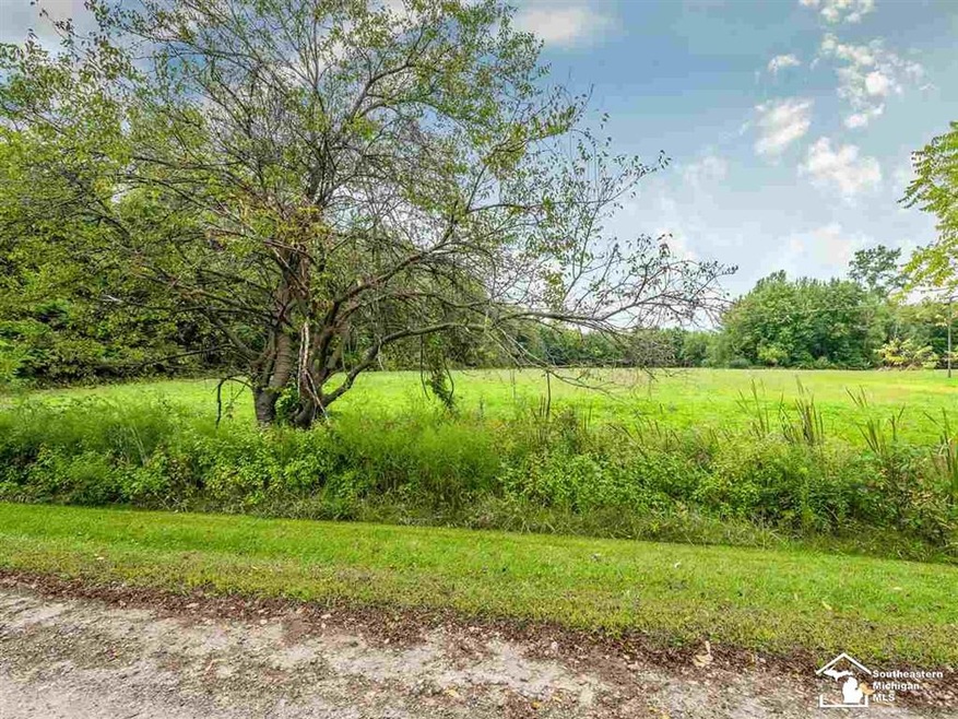 0 W Newburg Rd unit 50031460, Carleton, MI 48117 - photo 1