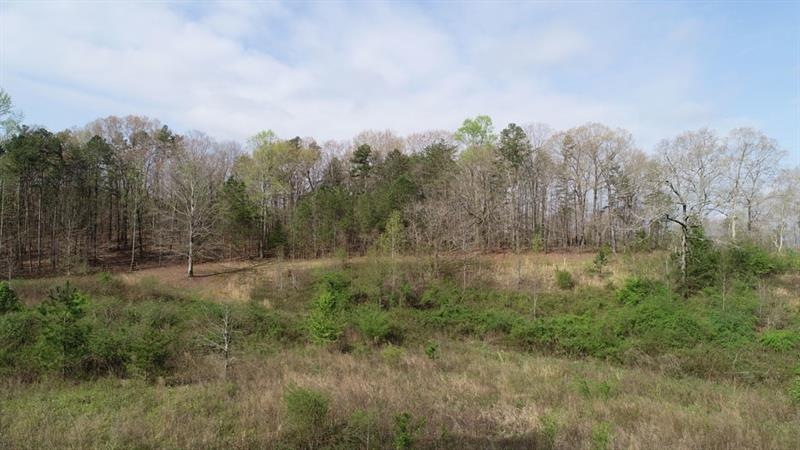 0 Homer Stephens Rd unit 6536169, Cornelia, GA 30531 - photo 1