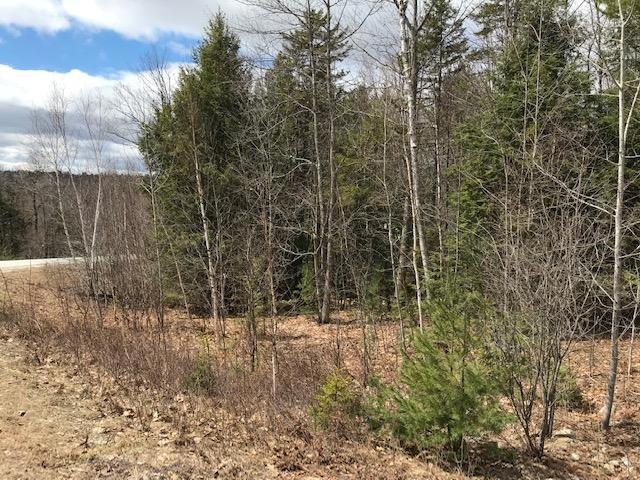 Lot 2 Highland Dr, Minot, ME 04258 - photo 1