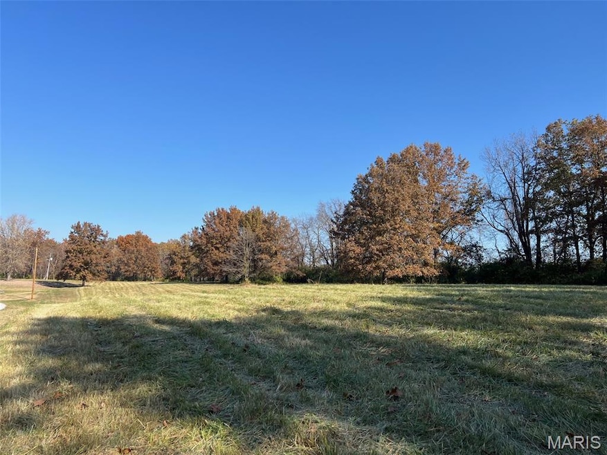 View of green lawn with a rural view