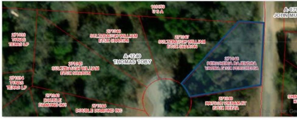 LOT 58 N Oakmont Ct, Gordonville, TX 76245 - photo 1