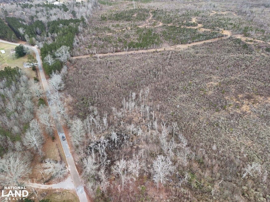 Hwy 13 Morton Ms, Morton, MS 39117 - photo 1