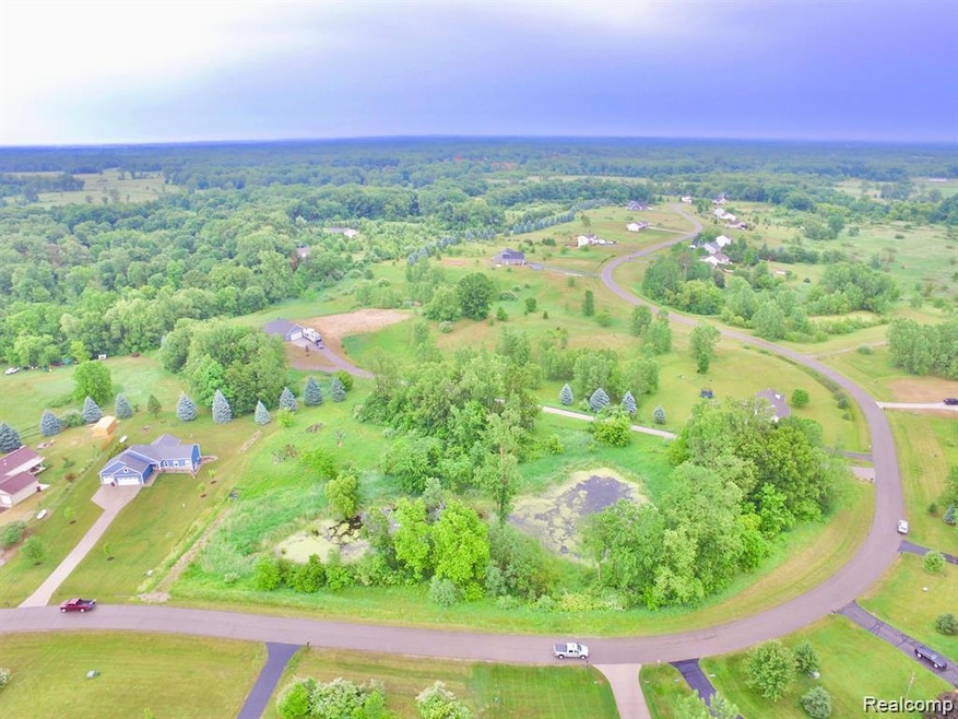 9810 Iosco Ridge Dr, Iosco Township, MI 48137 - photo 1