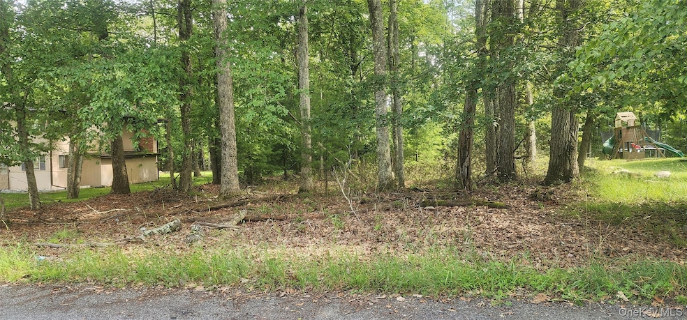 0 Chelsea Ln unit KEY937861, Thompson, NY 12775 - photo 1