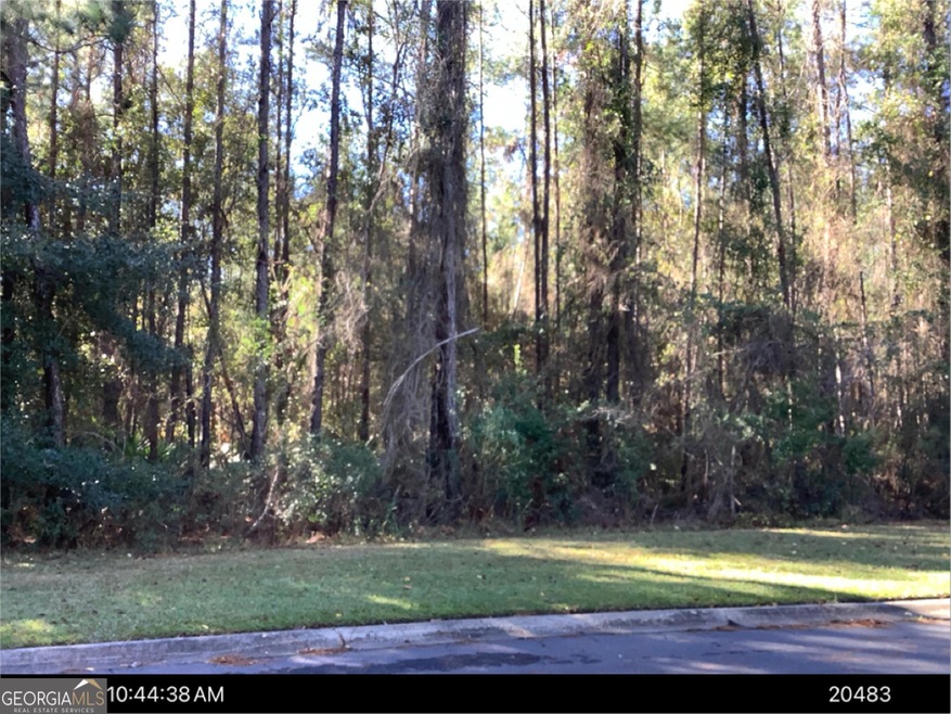 0 Secret Cove unit 10653968, Woodbine, GA 31569 - photo 1