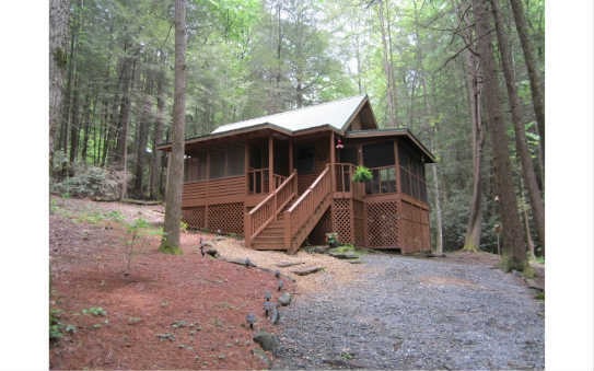 91 Cohutta Forest Rd, Chatsworth, GA 30705 - photo 1