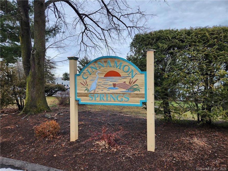 Welcome to Cinnamon Springs!