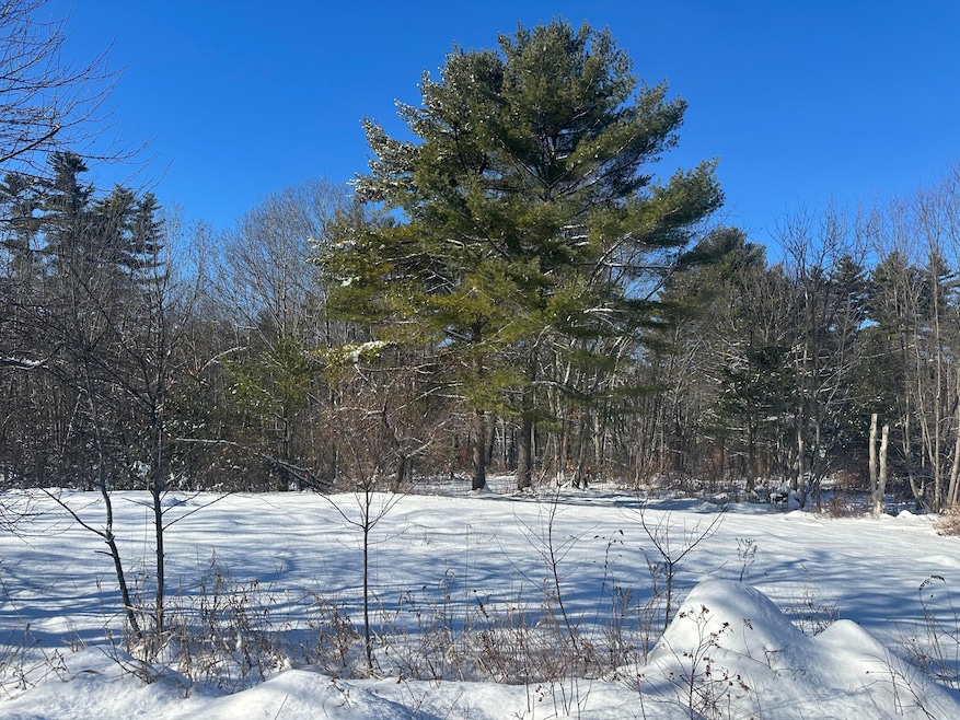 M:18L:20-4 Main St, North Fryeburg, ME 04037 - photo 1