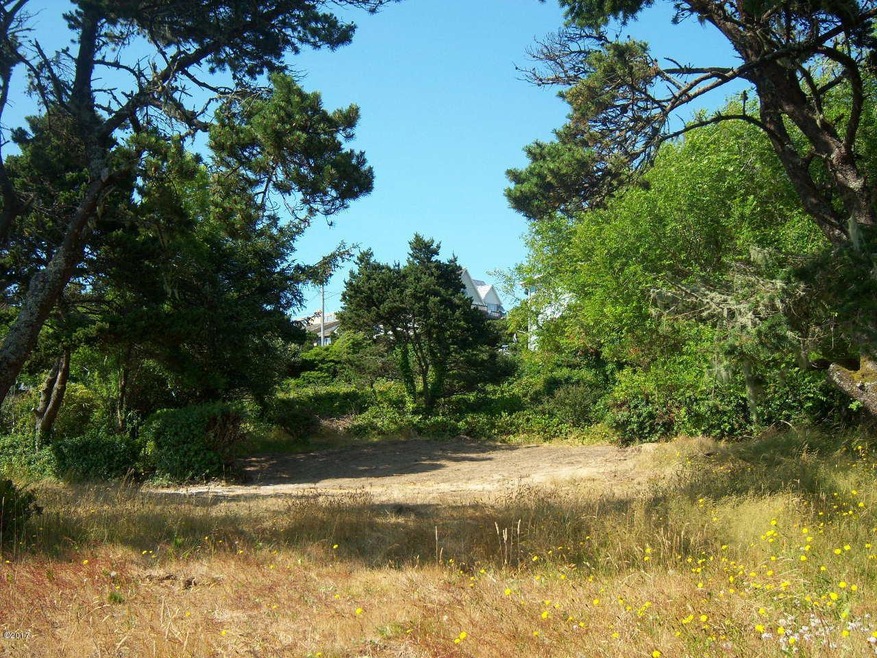 Lot Overview