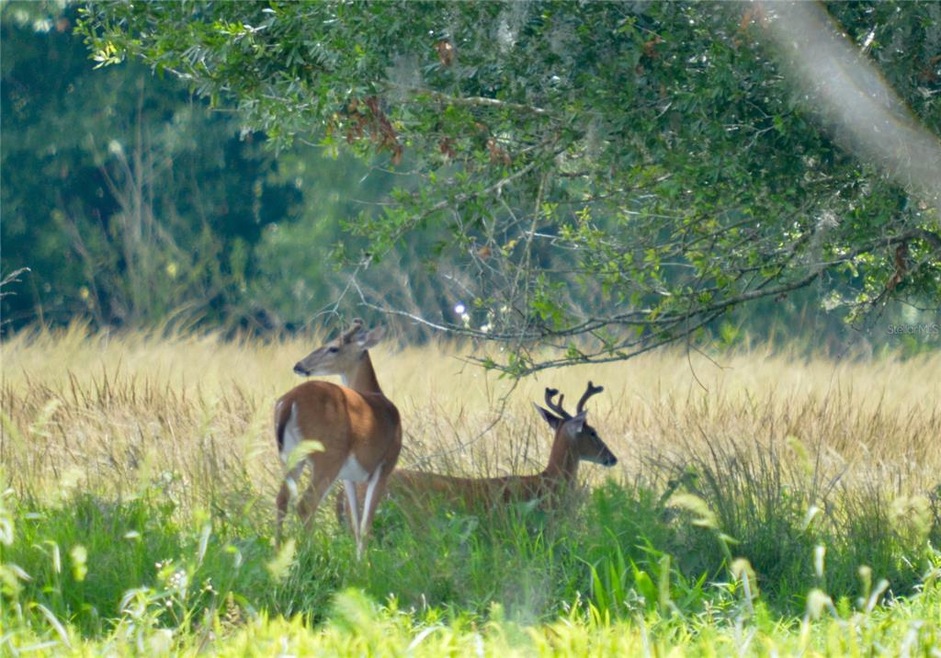 15666 NW 30th Terrace, Okeechobee, FL 34972 - photo 1