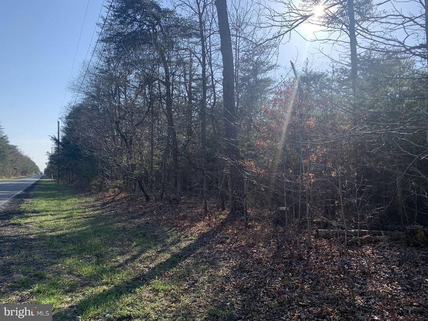 0 Newport Rd unit NJCB132256, Cedarville, NJ 08311 - photo 1