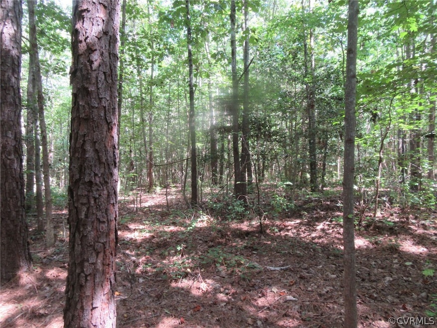 73-7-7 Fox Branch Rd, Dinwiddie, VA 23830 - photo 1