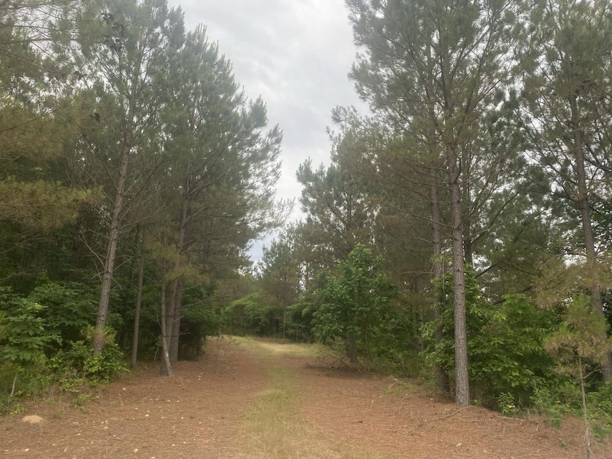 Big Opposum Creek Rd, Waynesboro, TN 38485 - photo 1