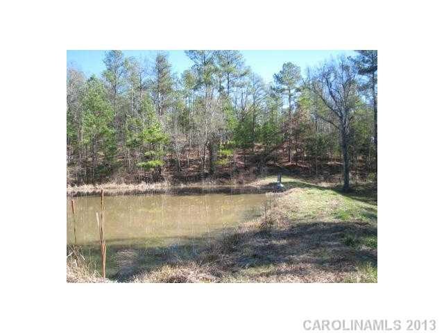 Pond/Lake - Small Pond for ducks, bream and wildli